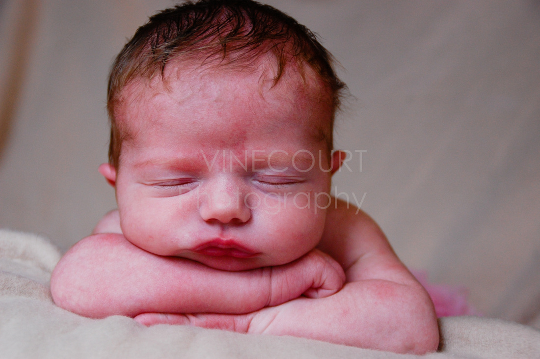 Newborn Photography in Toledo, Ohio