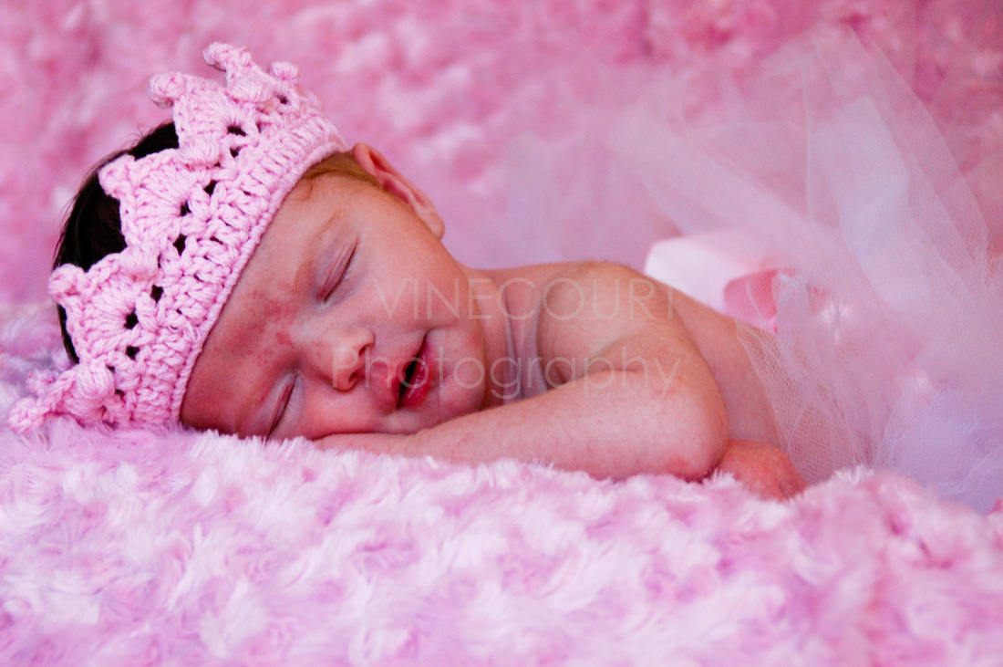 Newborn Photography in Toledo, Ohio